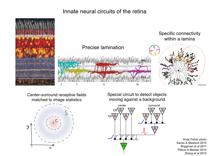 Neuro-Evo 180506.003.png