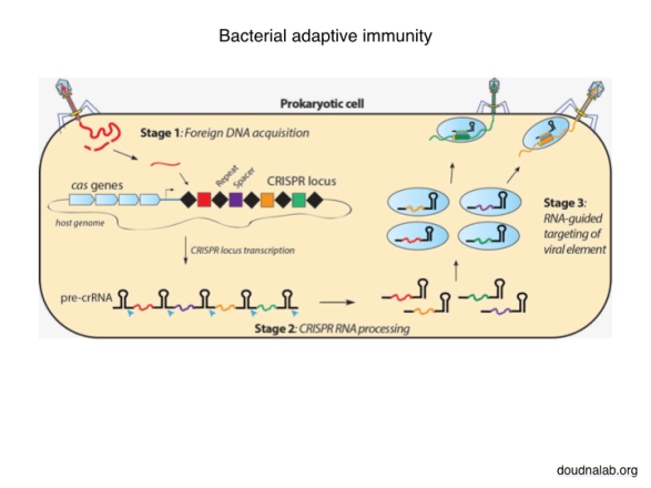 Neuro-Evo 180506.005
